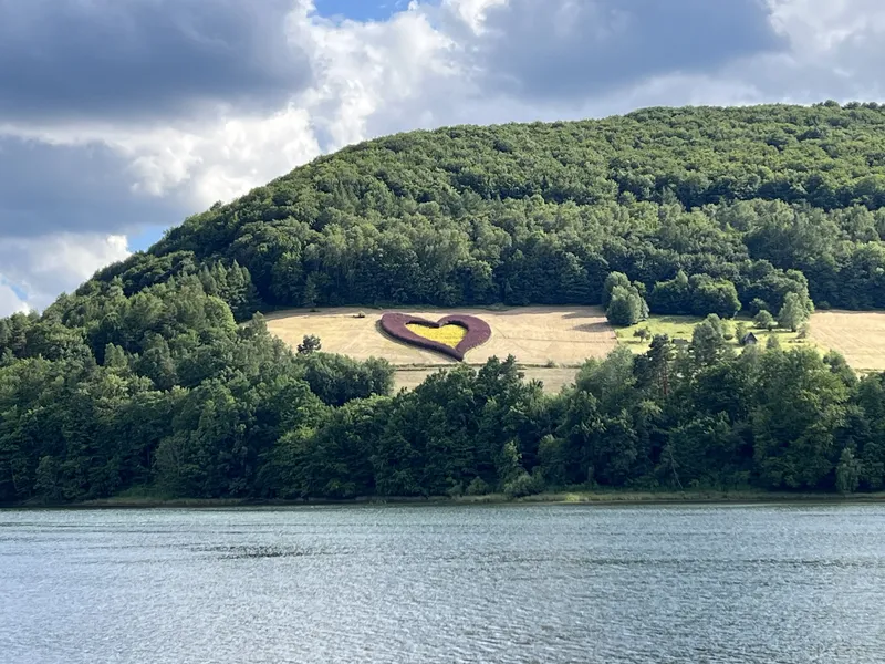 widok na Bieszczadzkie serce z kwiatów nad Soliną